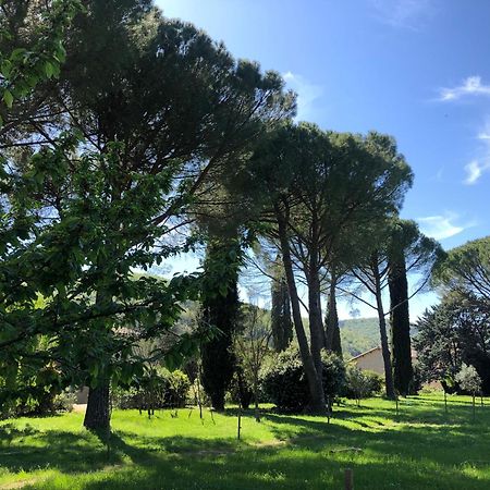 Saint-Maurice-dʼIbie Gite Des Pins מראה חיצוני תמונה